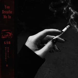 You Breathe Me In cover